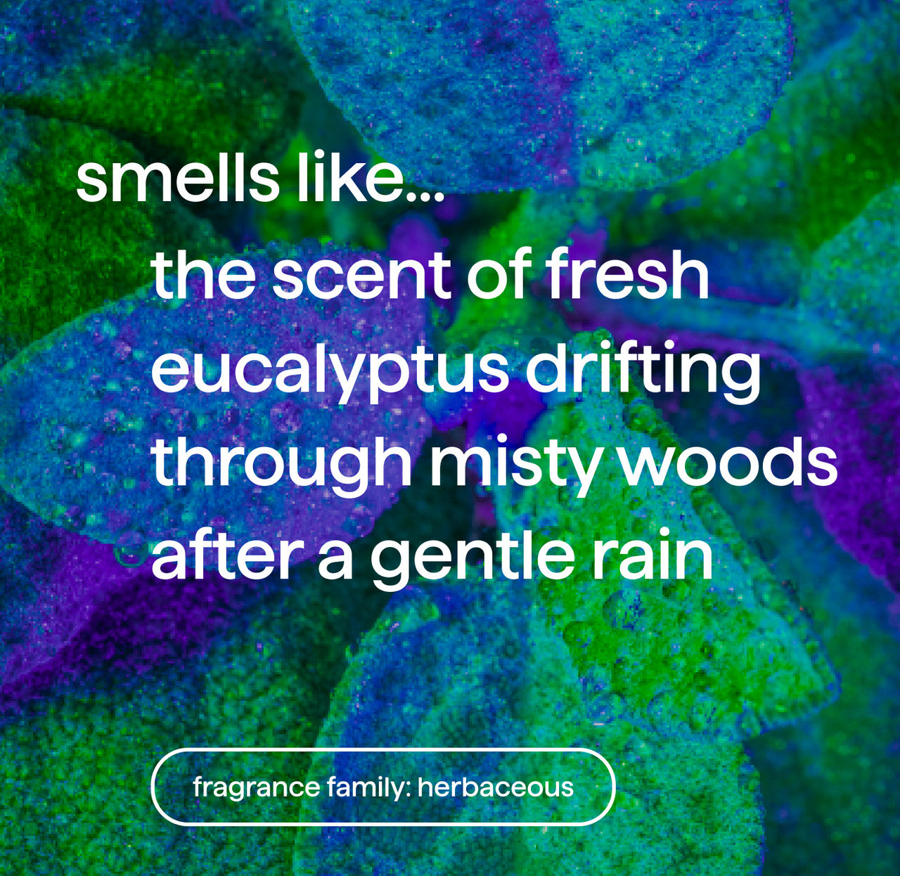 foaming hand wash - eucalyptus + rosemary. 10 fl oz - Image 4