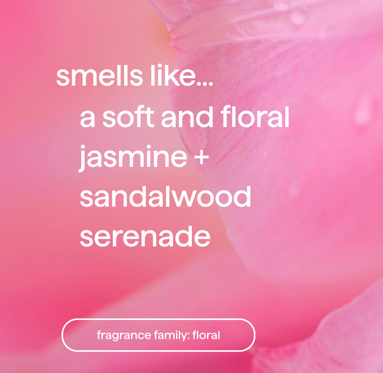 dream foam foaming body wash 3-ct bundle. 40.5 oz - Image 6