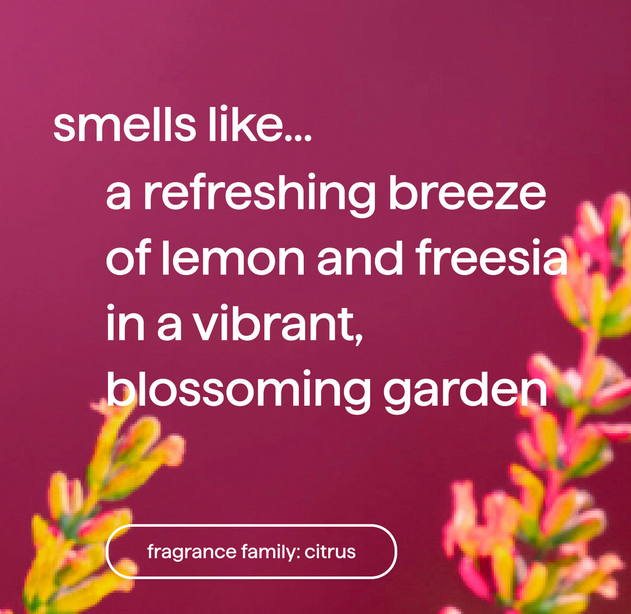 all-purpose cleaner - Lemon + Freesia. 28 fl oz - 图片 4