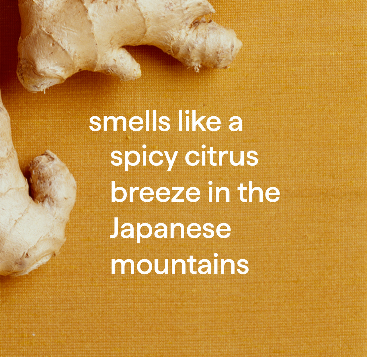 all-purpose cleaner - ginger yuzu. 28 fl oz - 图片 4