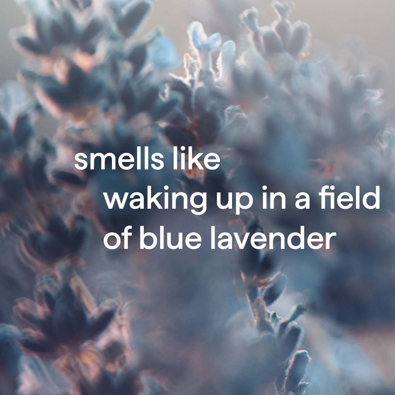 body wash - wind down. 28 fl oz - Image 4