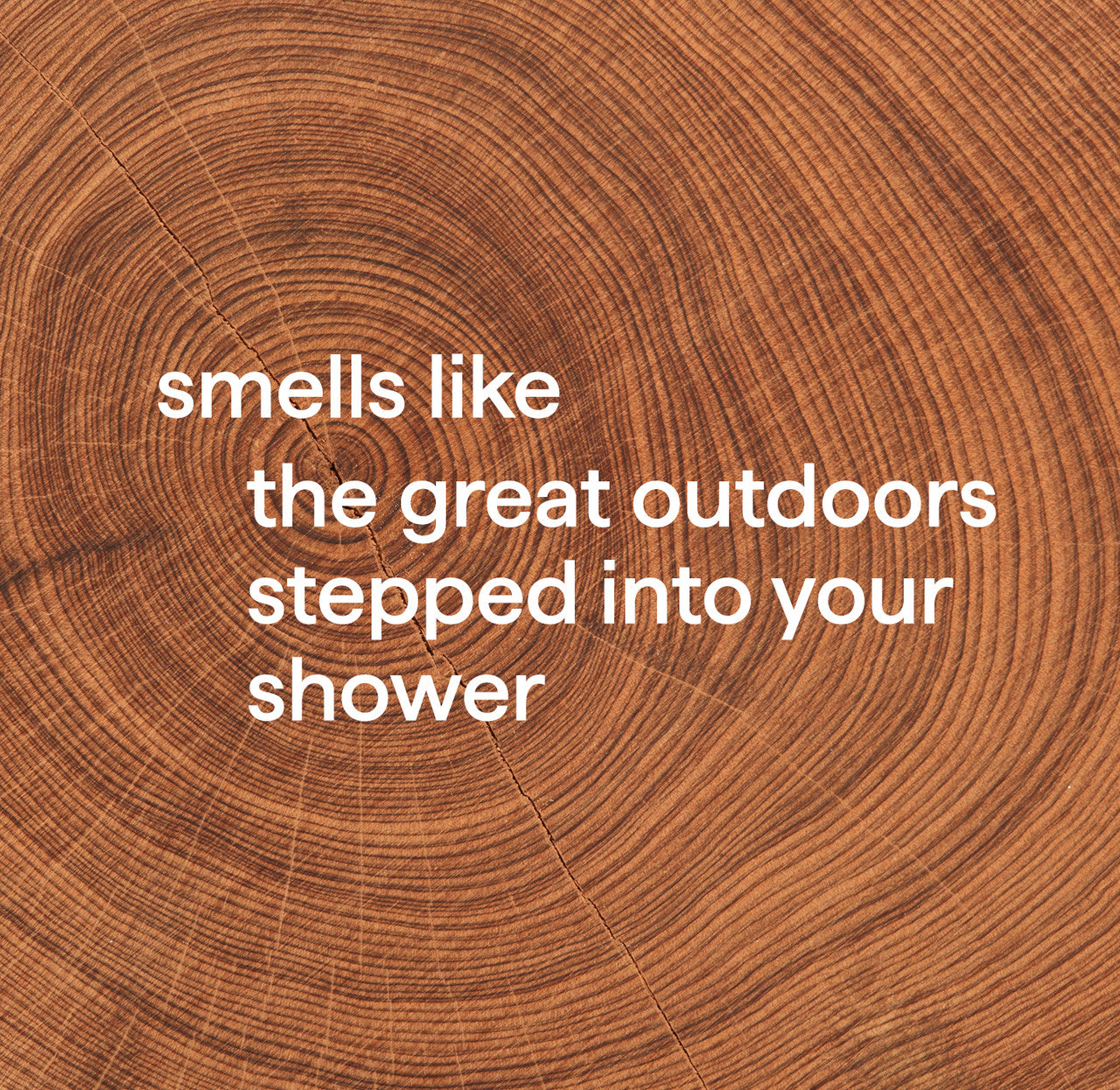 2-in-1 shampoo + conditioner - cedar + cypress. 3.4 fl oz - 图片 4