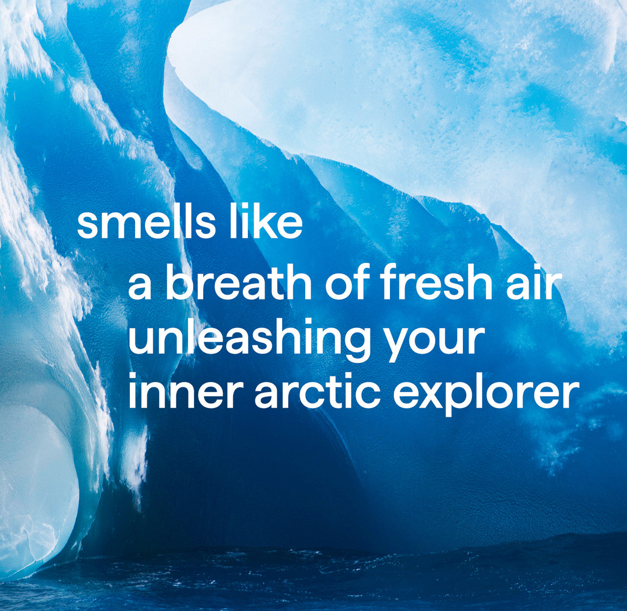 2-in-1 shampoo + conditioner - glacier + granite. 14 fl oz - 图片 6