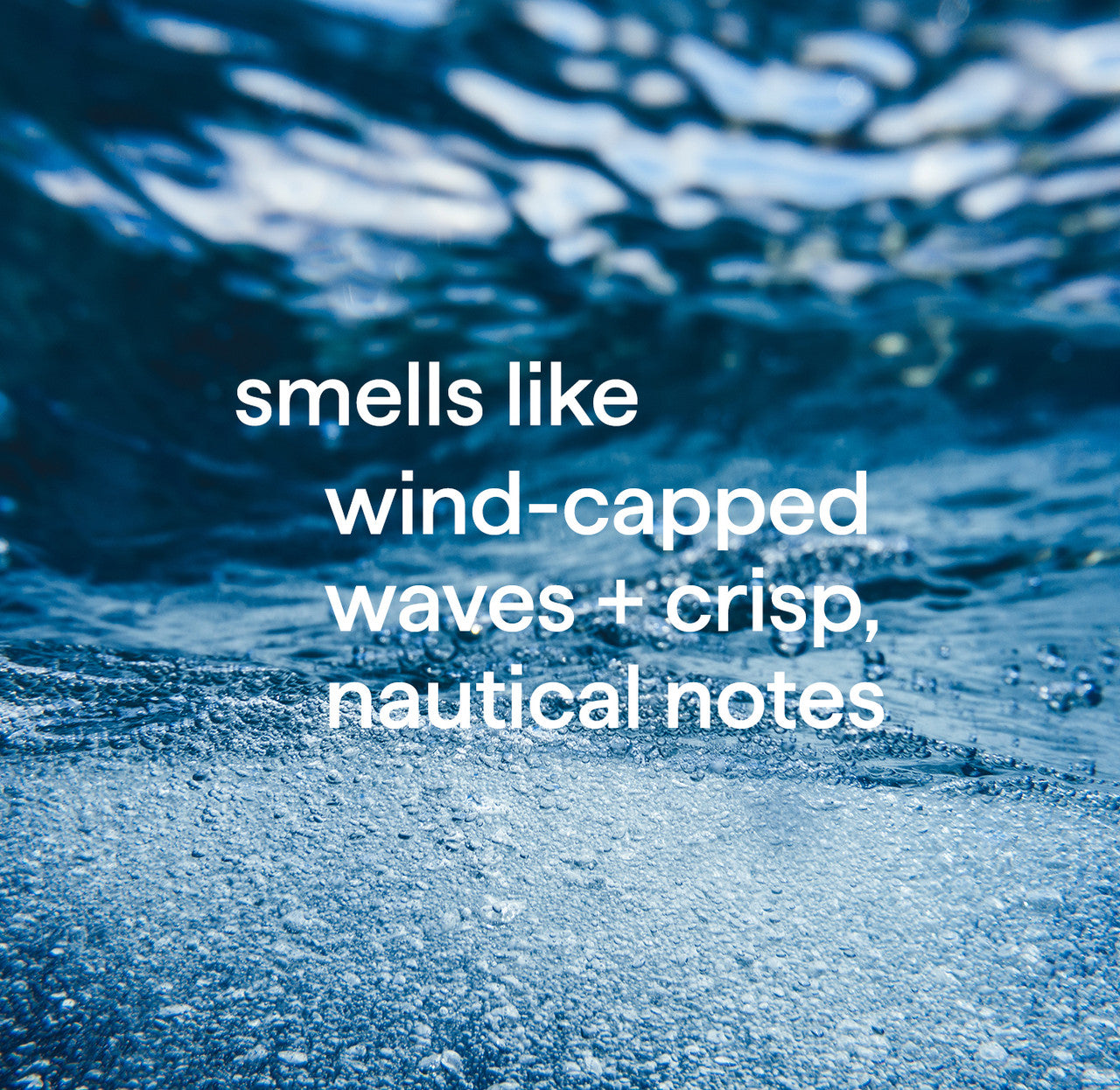 body wash - sea + surf. 18 fl oz - Image 6