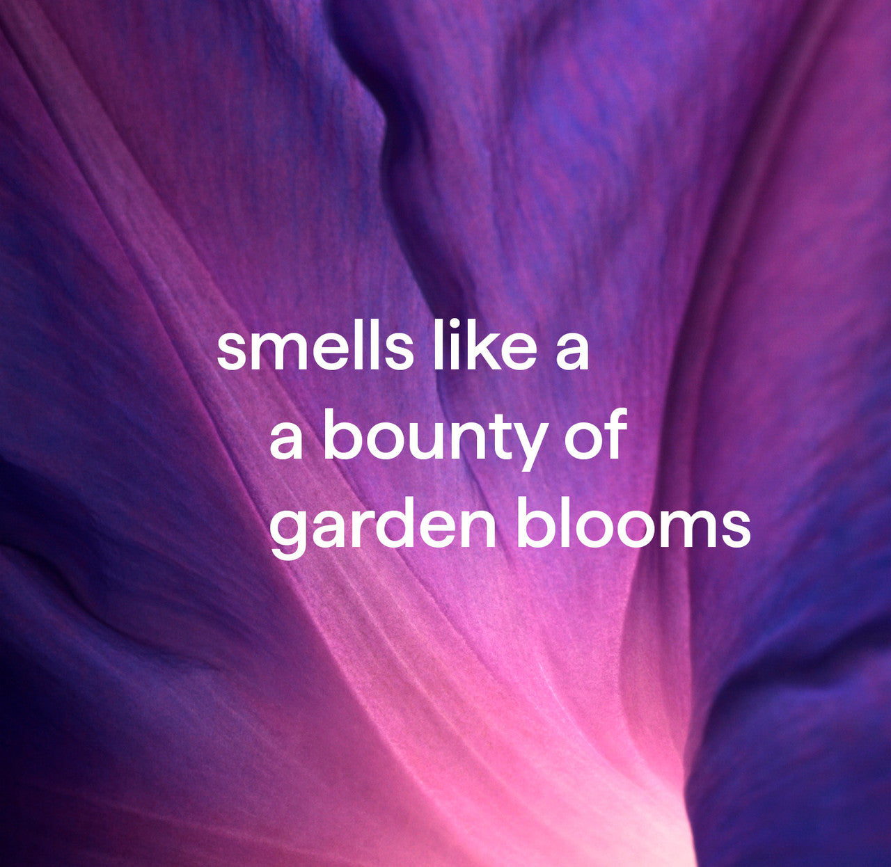 foaming hand wash - violet + lavender. 10 fl oz - Image 6