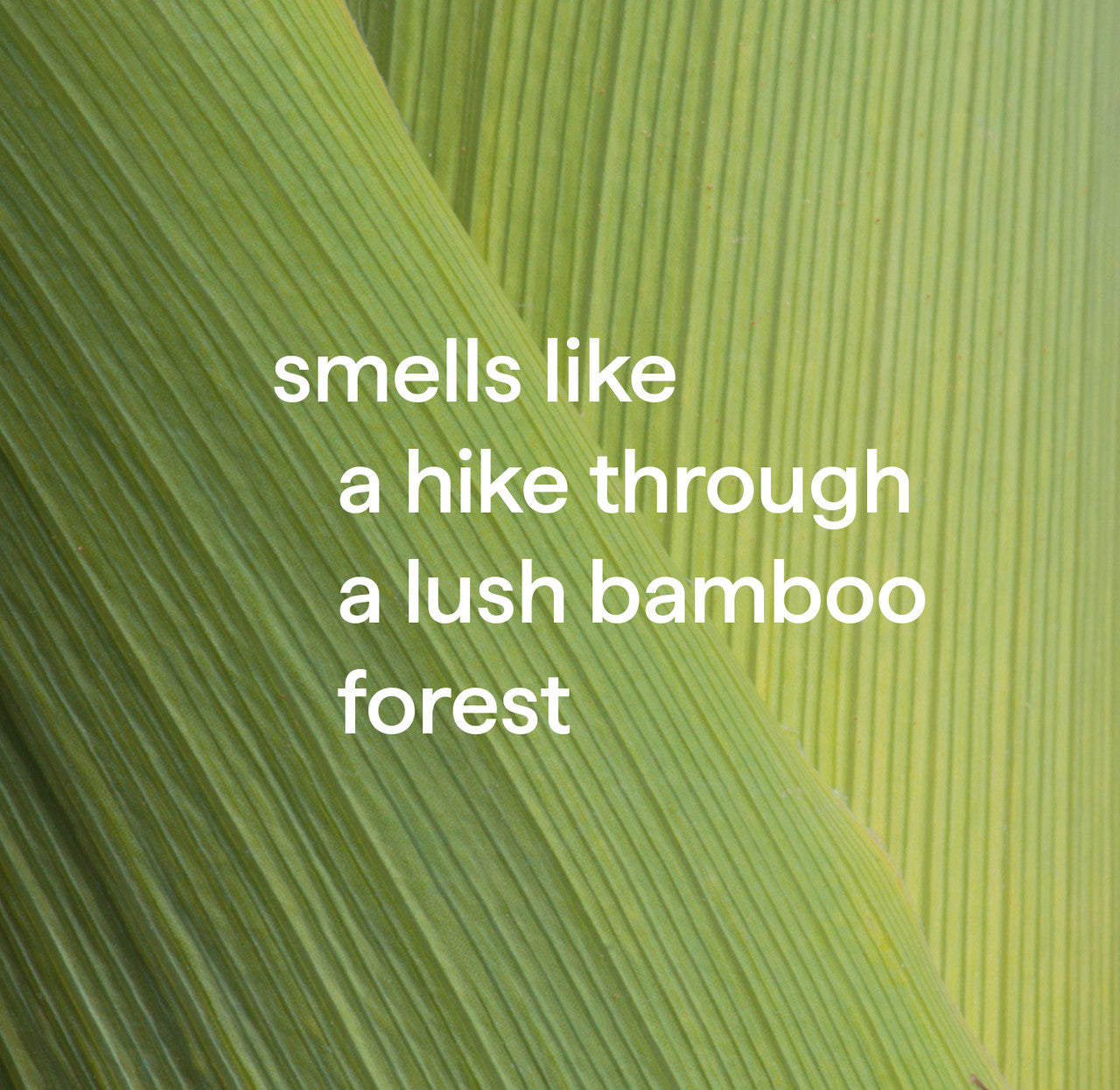 antibacterial all-purpose cleaner - bamboo. 28 fl oz - 图片 4