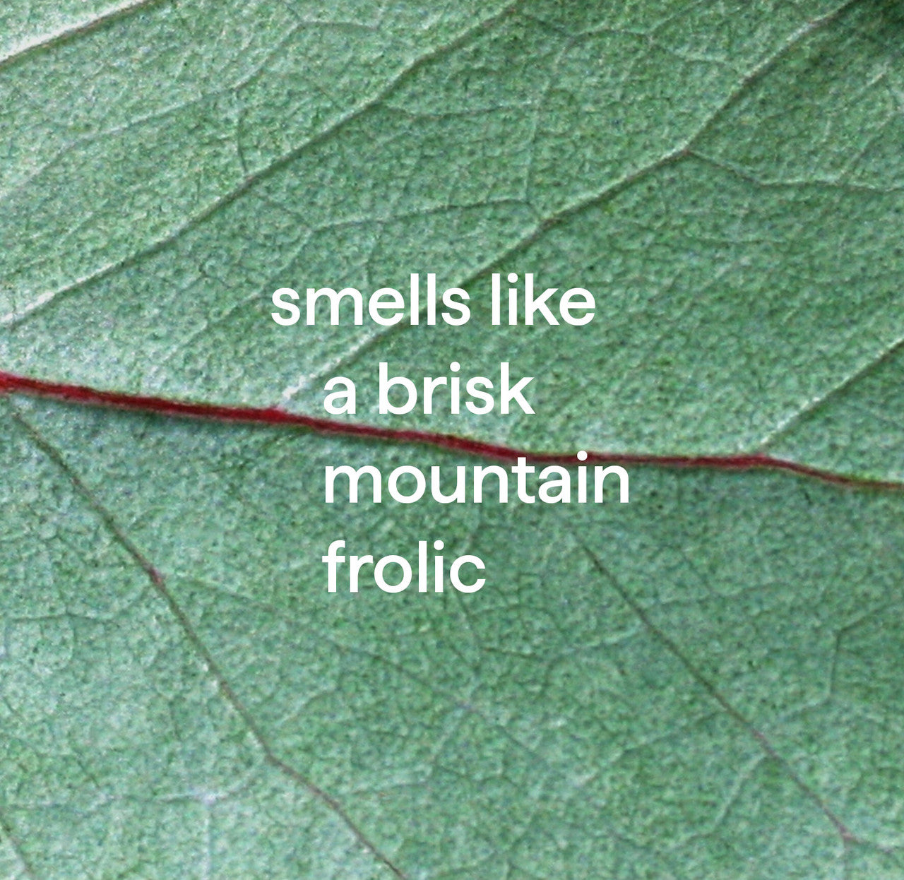 foaming tub + tile cleaner - eucalyptus mint. 28 fl oz - Image 4