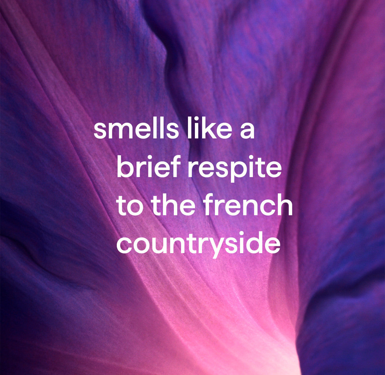 all-purpose cleaner refill - french lavender. 68 fl oz - 图片 4