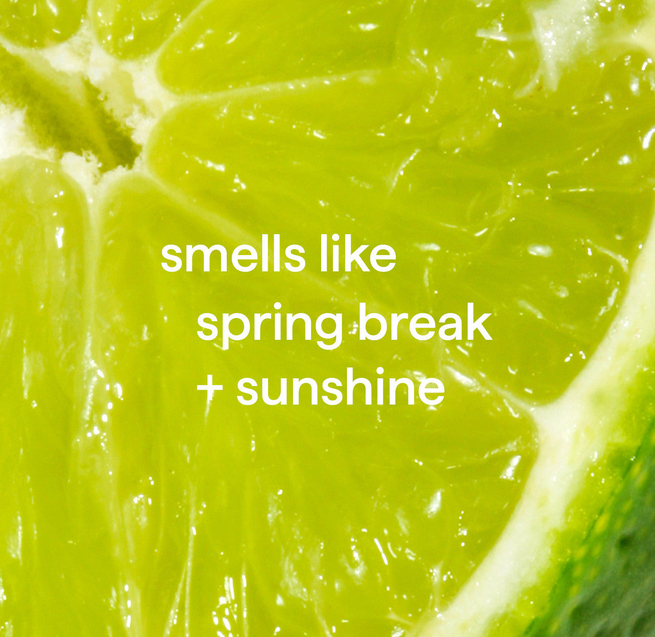 dish soap - lime + sea salt. 18 fl oz - 图片 4