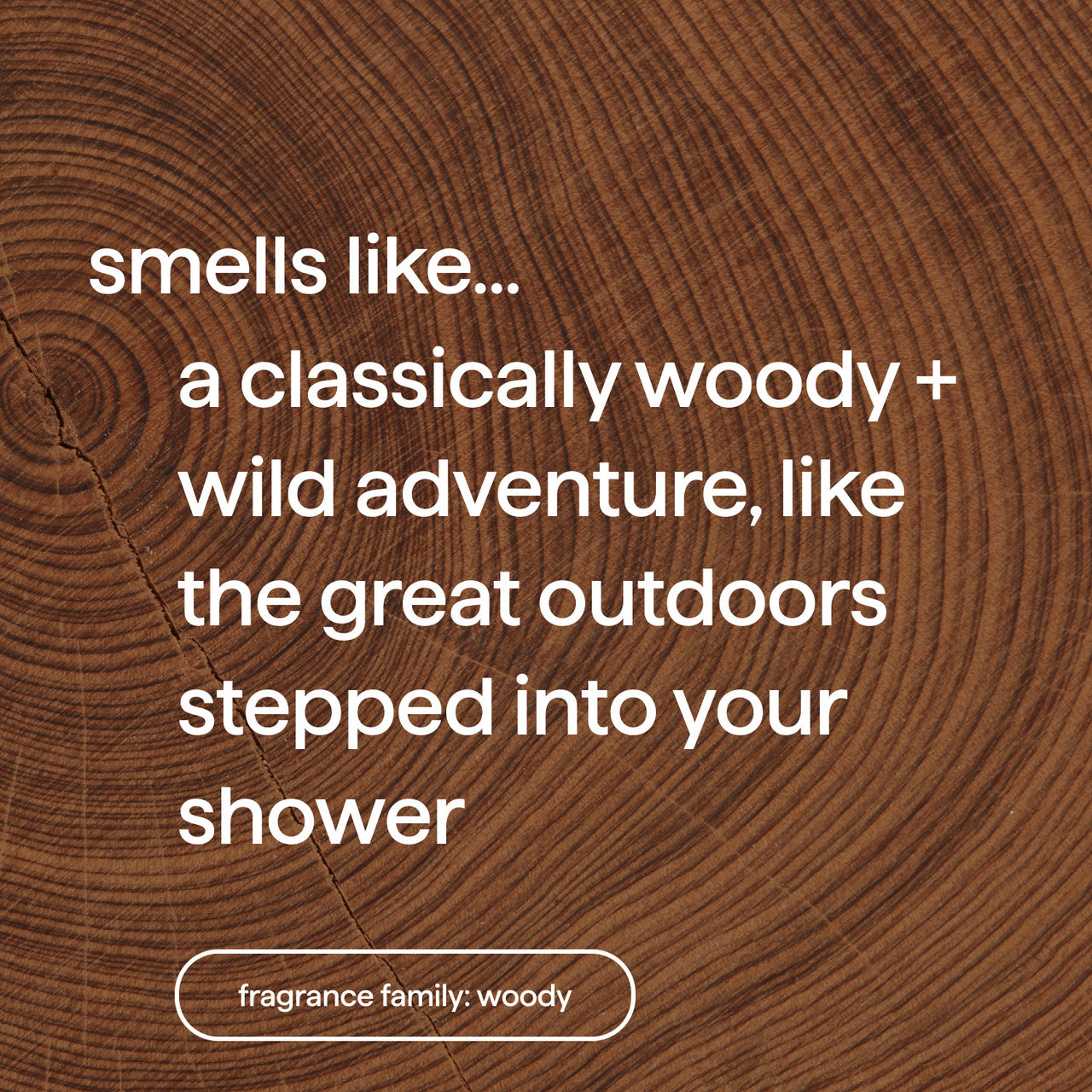 deodorant - cedar + cypress. 2.65 oz - Image 4