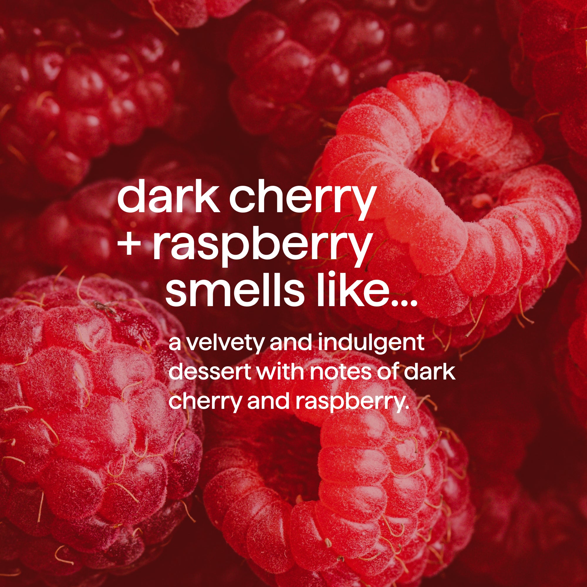 body + hair mist - dark cherry + raspberry. 8 fl oz - Image 5