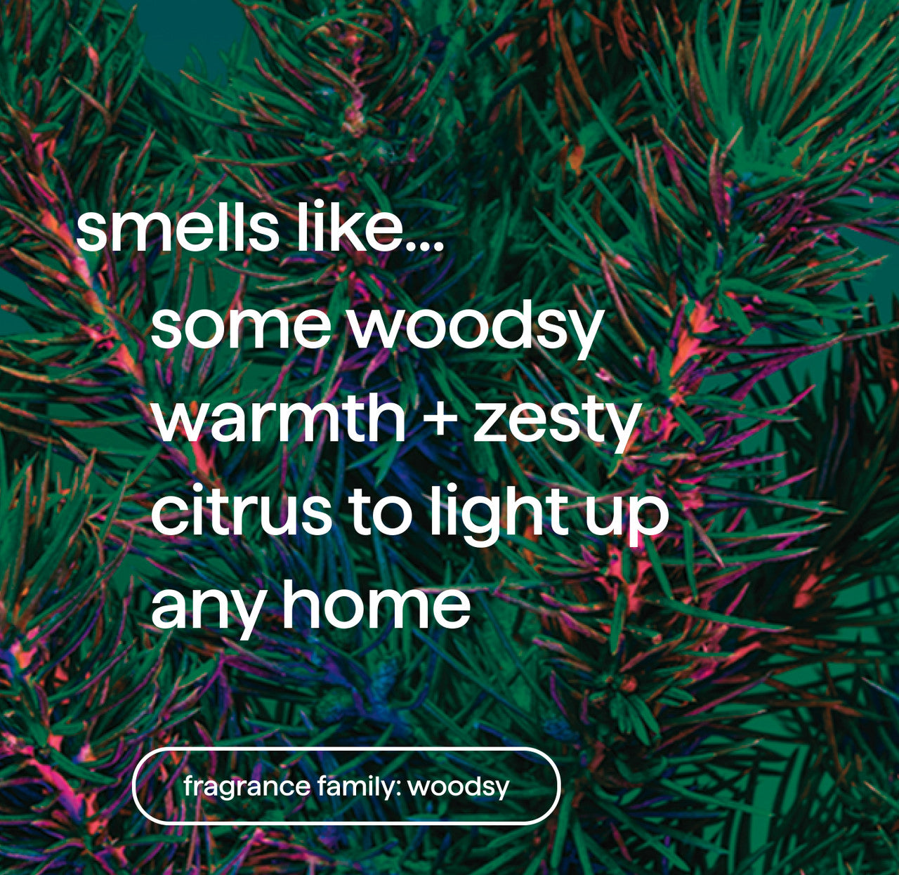 foaming hand wash - juniper + joy. 10 fl oz - Image 4