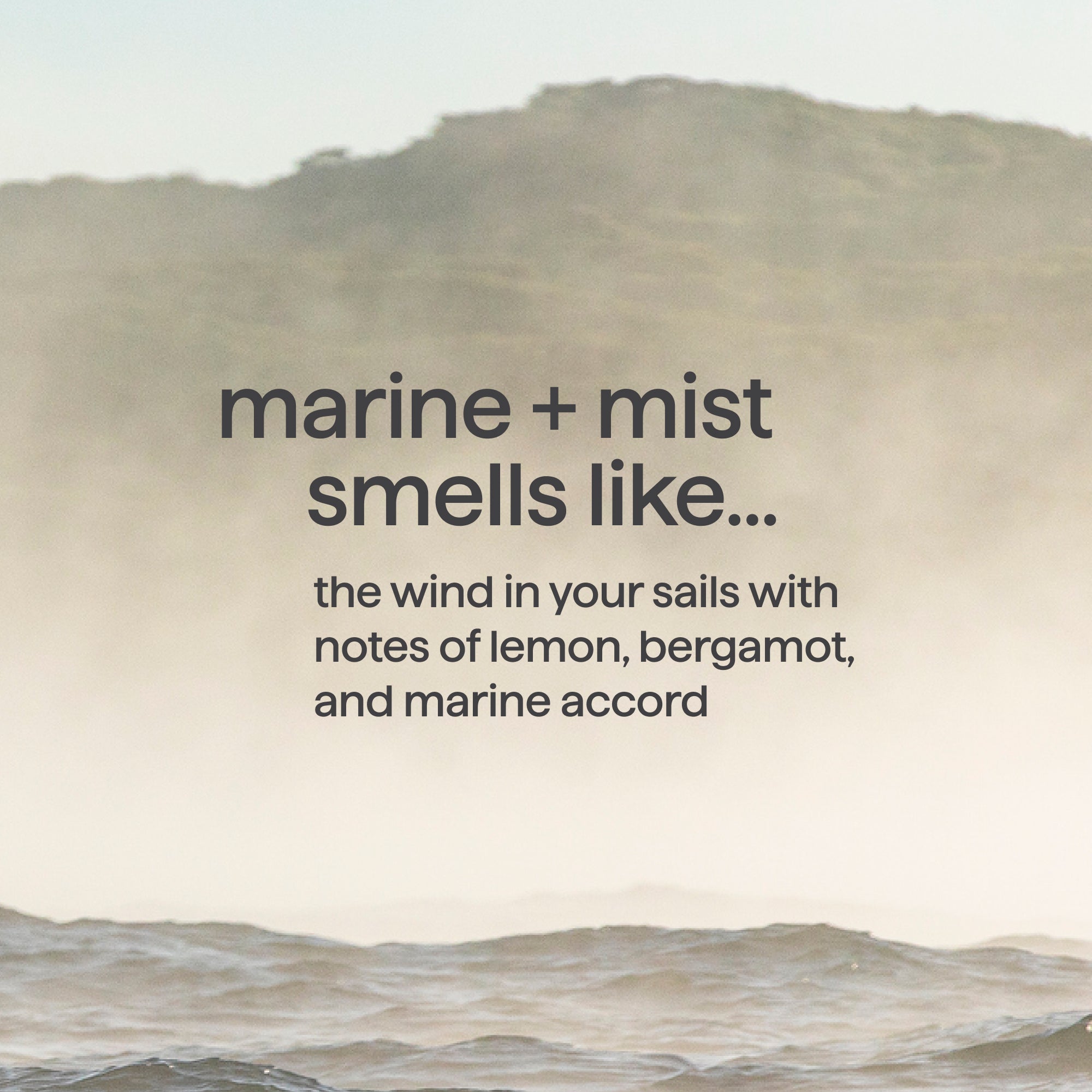 2-in-1 shampoo + conditioner - marine + mist. 14 fl oz - 图片 5