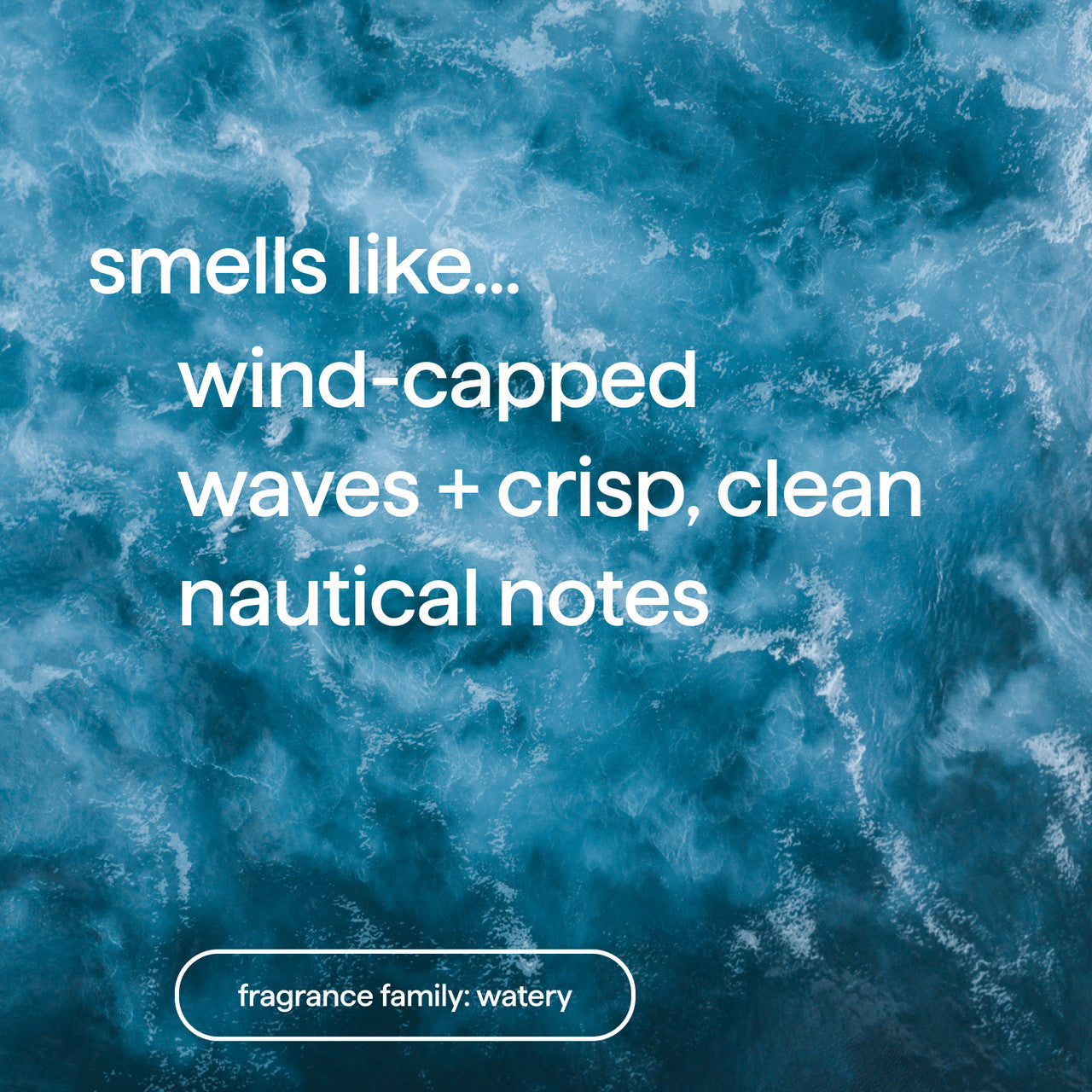 body lotion - sea + surf. 14 fl oz - 图片 4